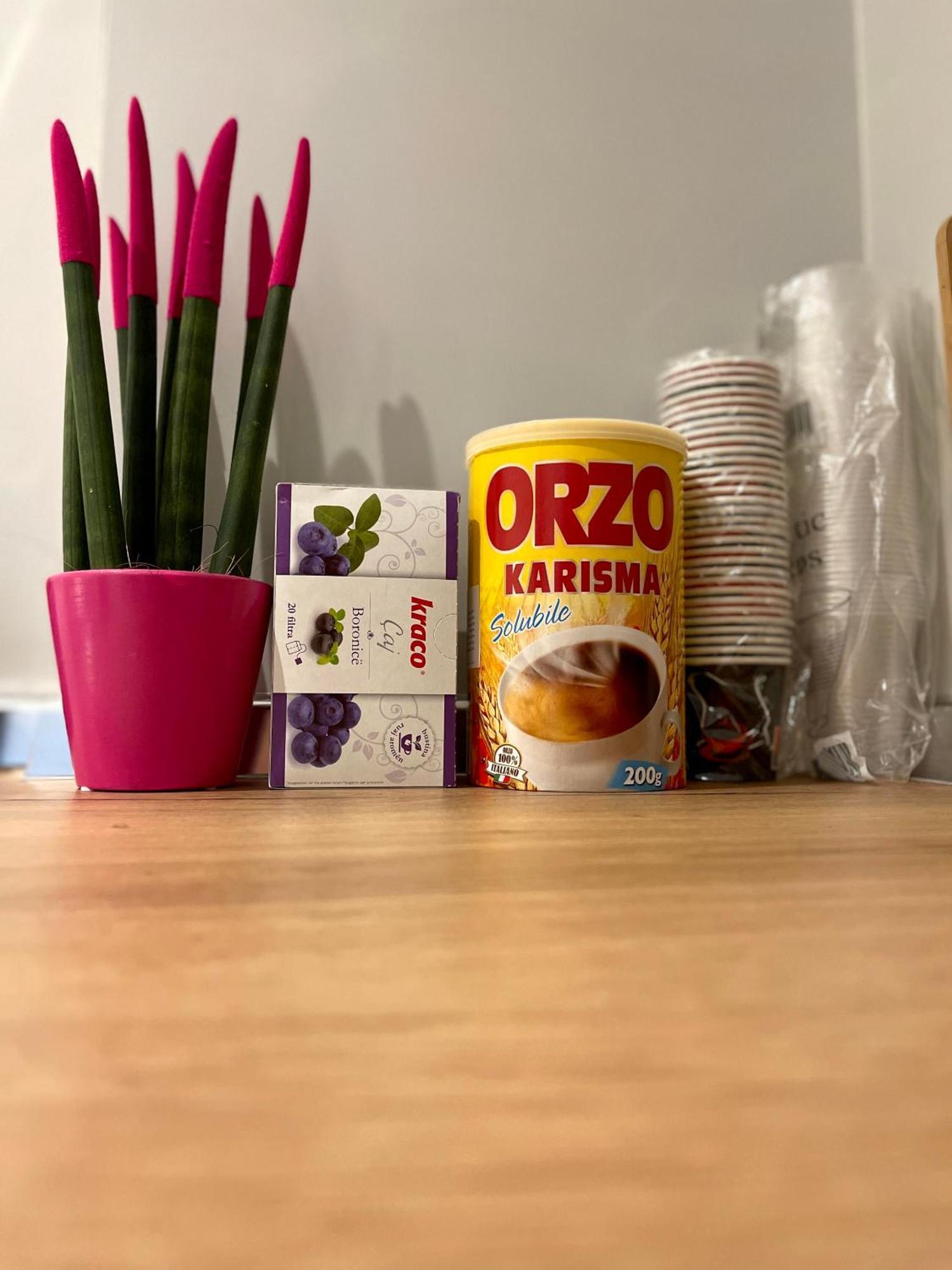 Apartament Dreamy In *